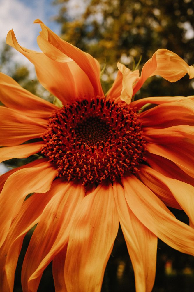Photograph by Olga Pavich