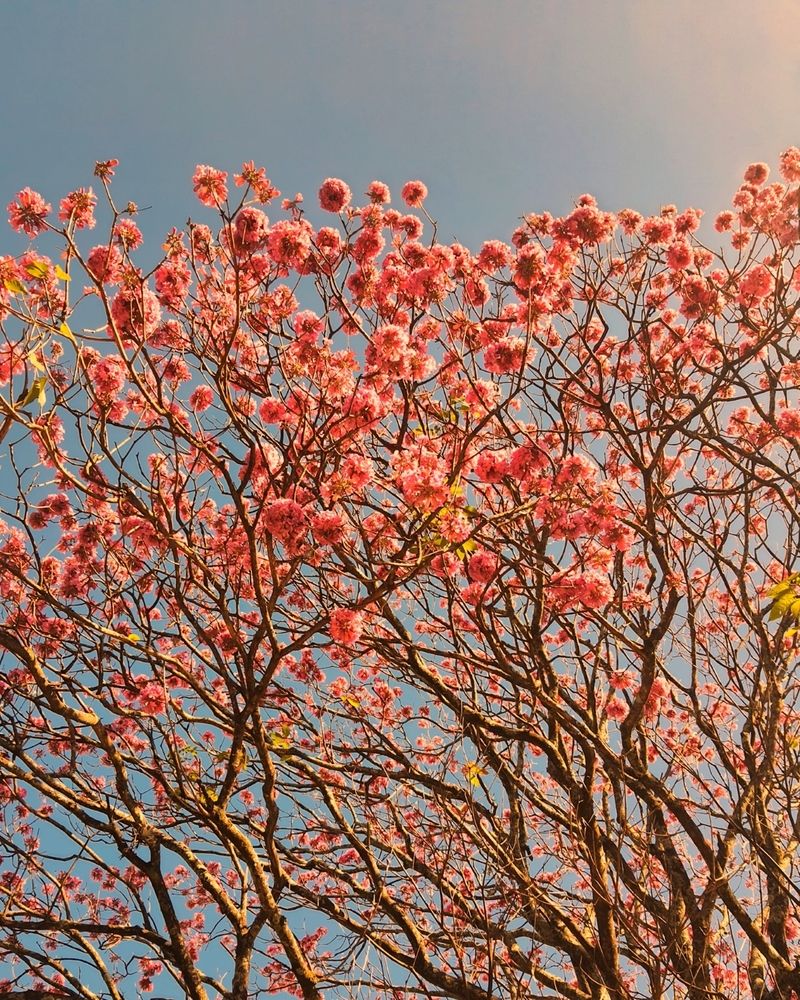 Photograph by adriana menez