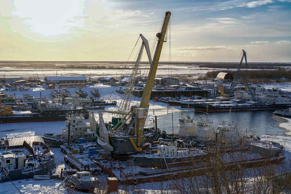 Фотография автора Viktoriya Kim