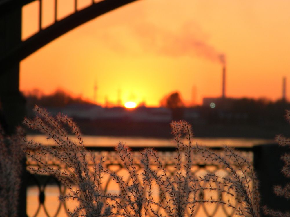 Photograph by Дарья