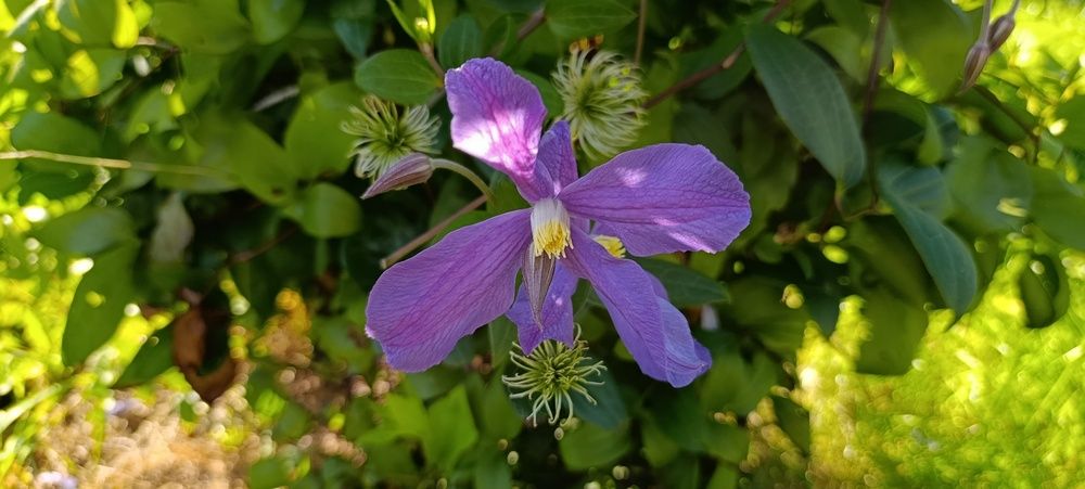 Фотография автора Геннадий Коробов