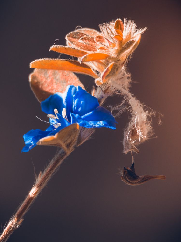 Photograph by Silvio José