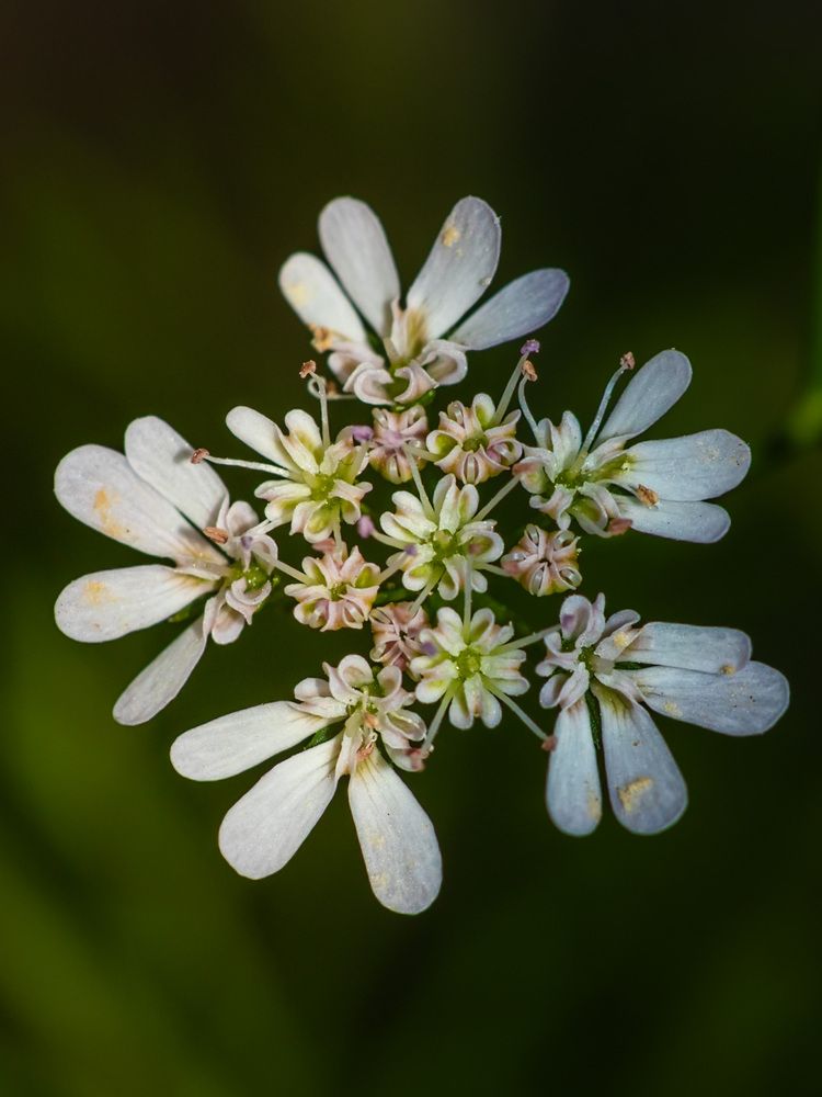 Photograph by Silvio José