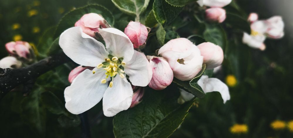 Фотография автора Геннадий Коробов