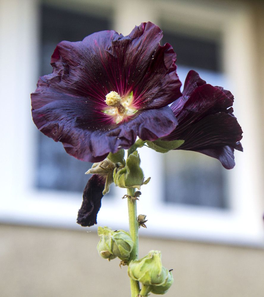 Photograph by Нестеренко Светлана