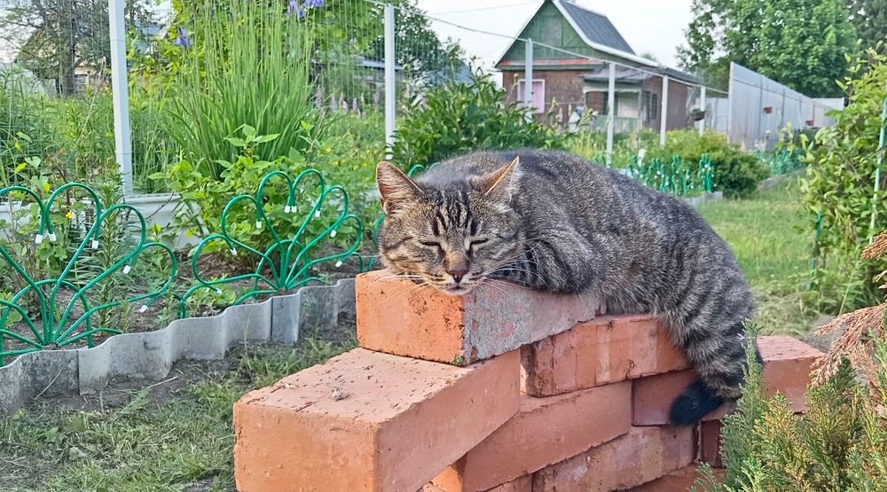 Фотография автора Геннадий Коробов