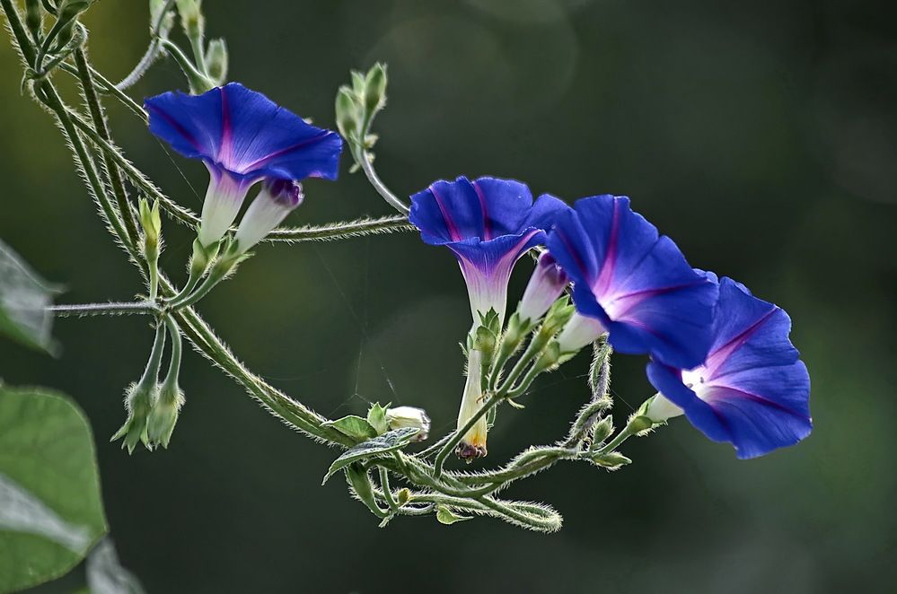 Photograph by Анатолий Святой