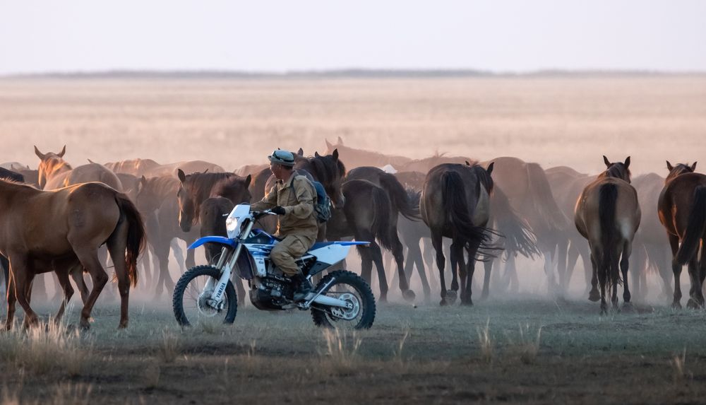 Photograph by Анна Стрелковская