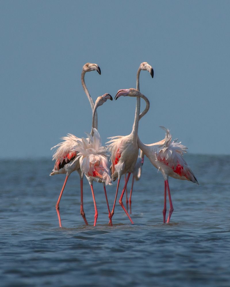 Photograph by Prabhat Ghosh