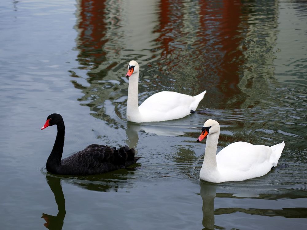 Фотография автора Андрей Павловский