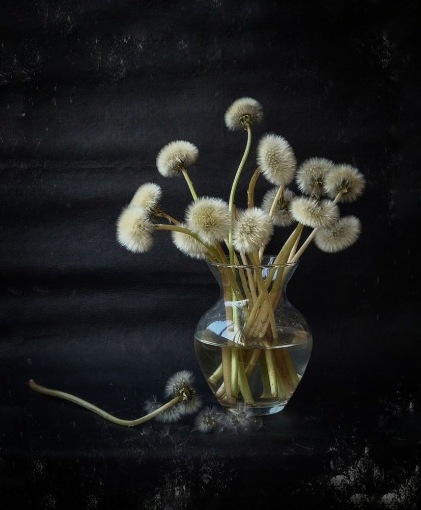 Photograph by Лариса Бурова