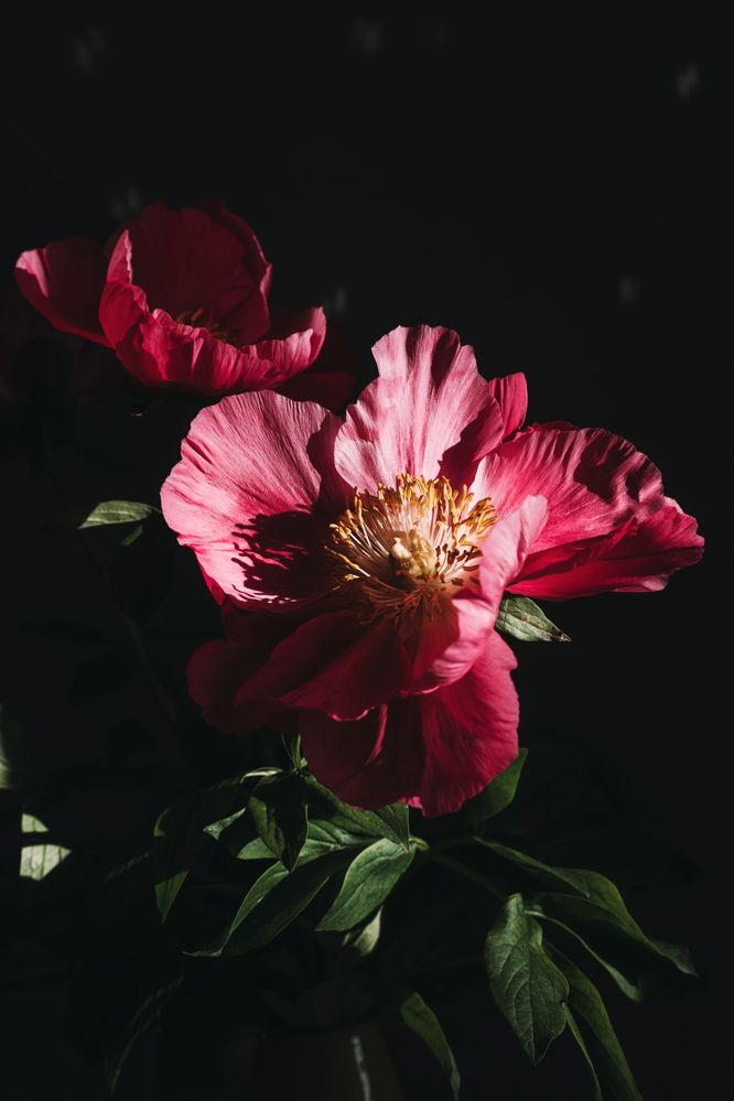 Photograph by Екатерина Карпова