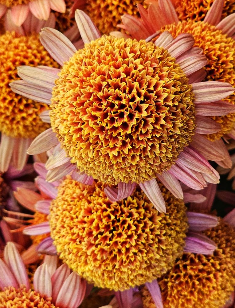 Photograph by GURJIT SHAH