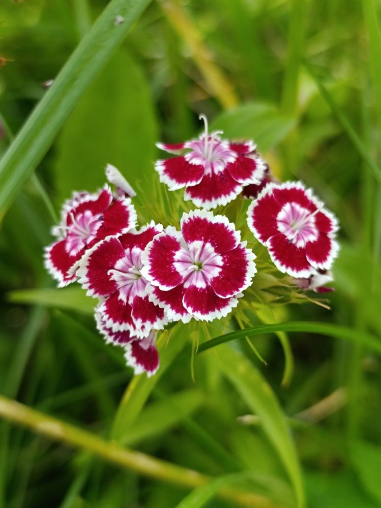 Photograph by Екатерина Супраненок