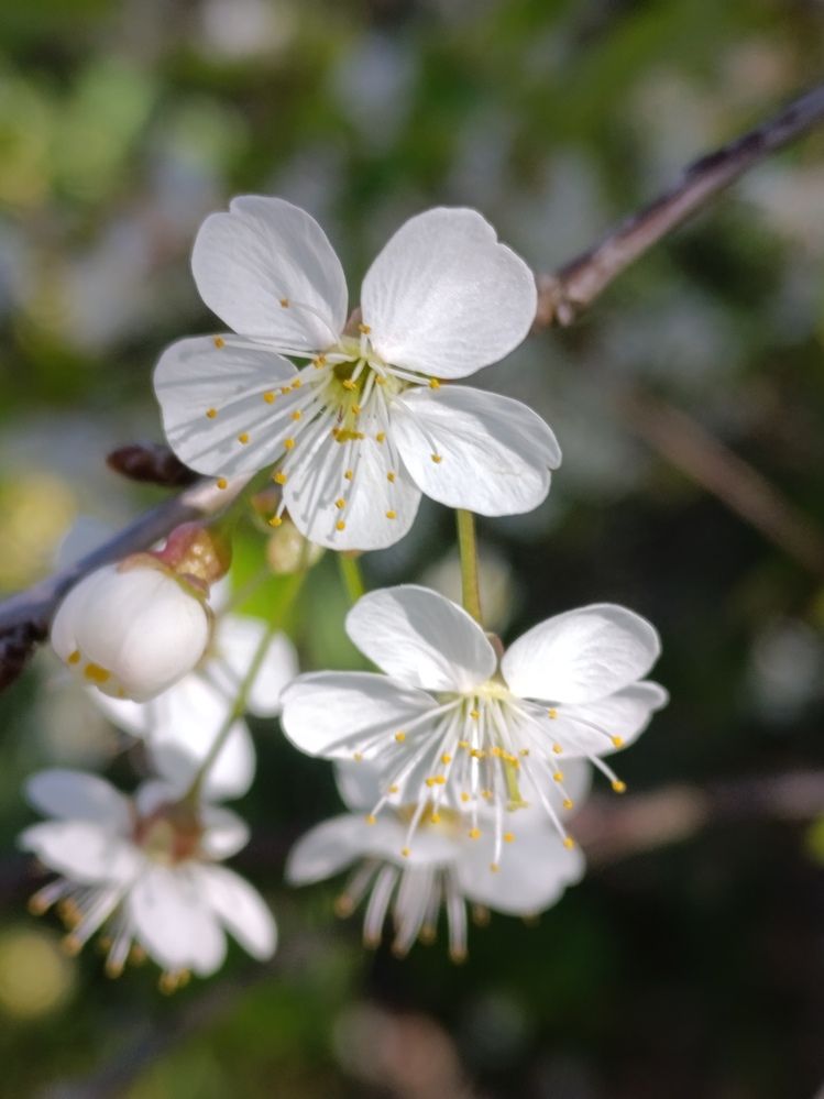 Photograph by Екатерина Супраненок