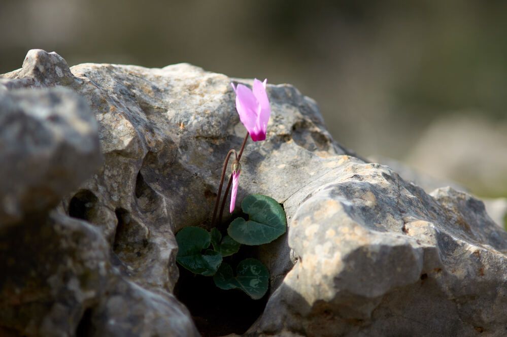 Photograph by Alexey Olkhovenko