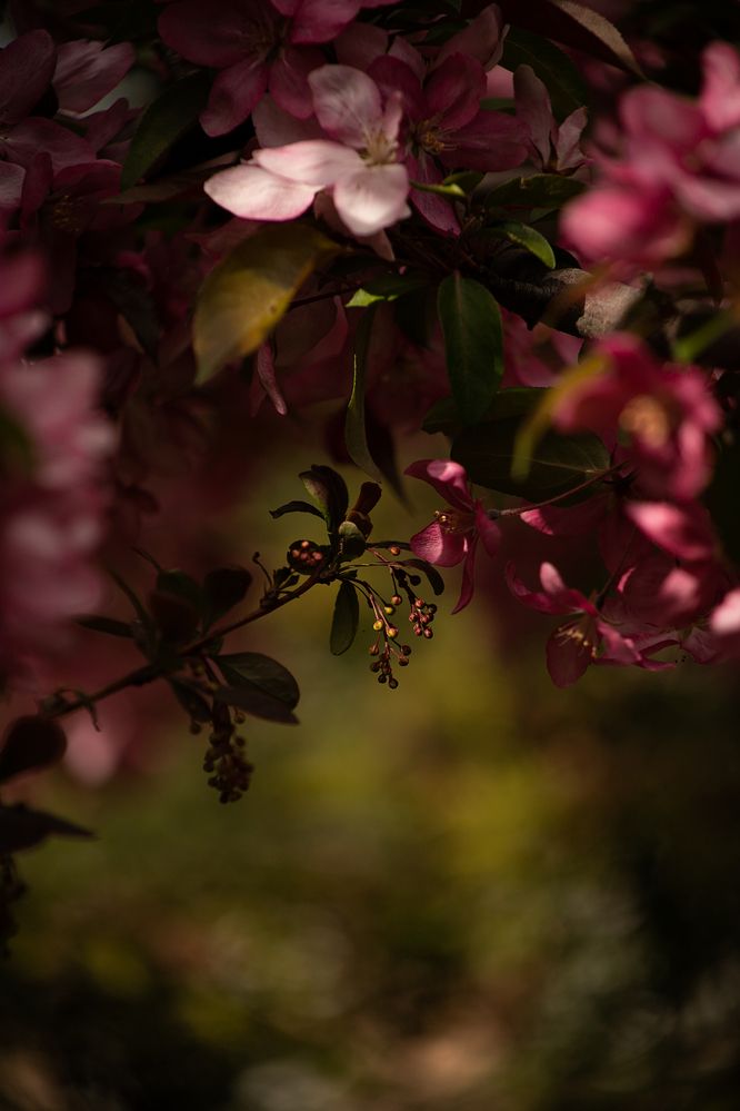 Photograph by Елена Гостева