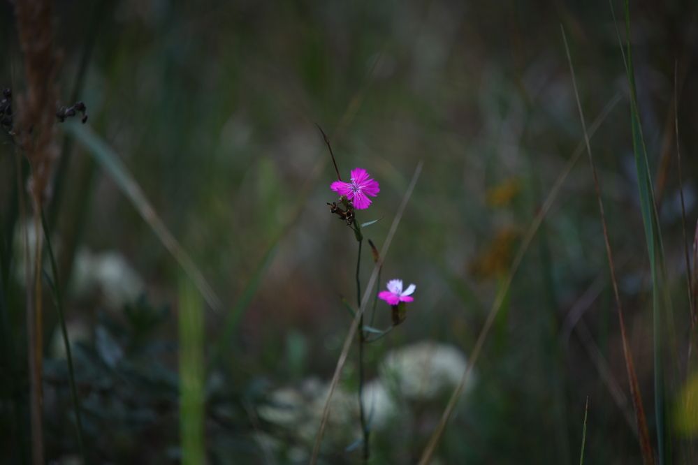 Фотография автора Иван Безрядин