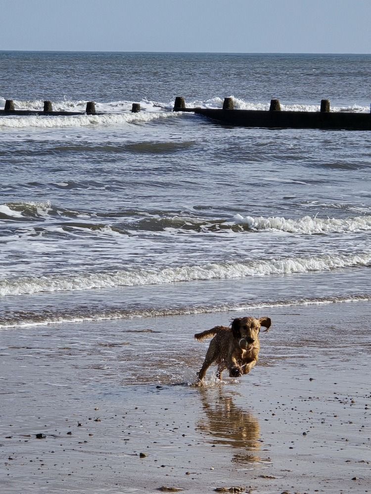 Photograph by Ekaterina Kozlova