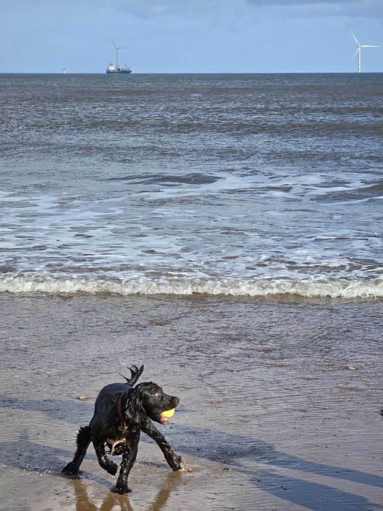 Photograph by Ekaterina Kozlova