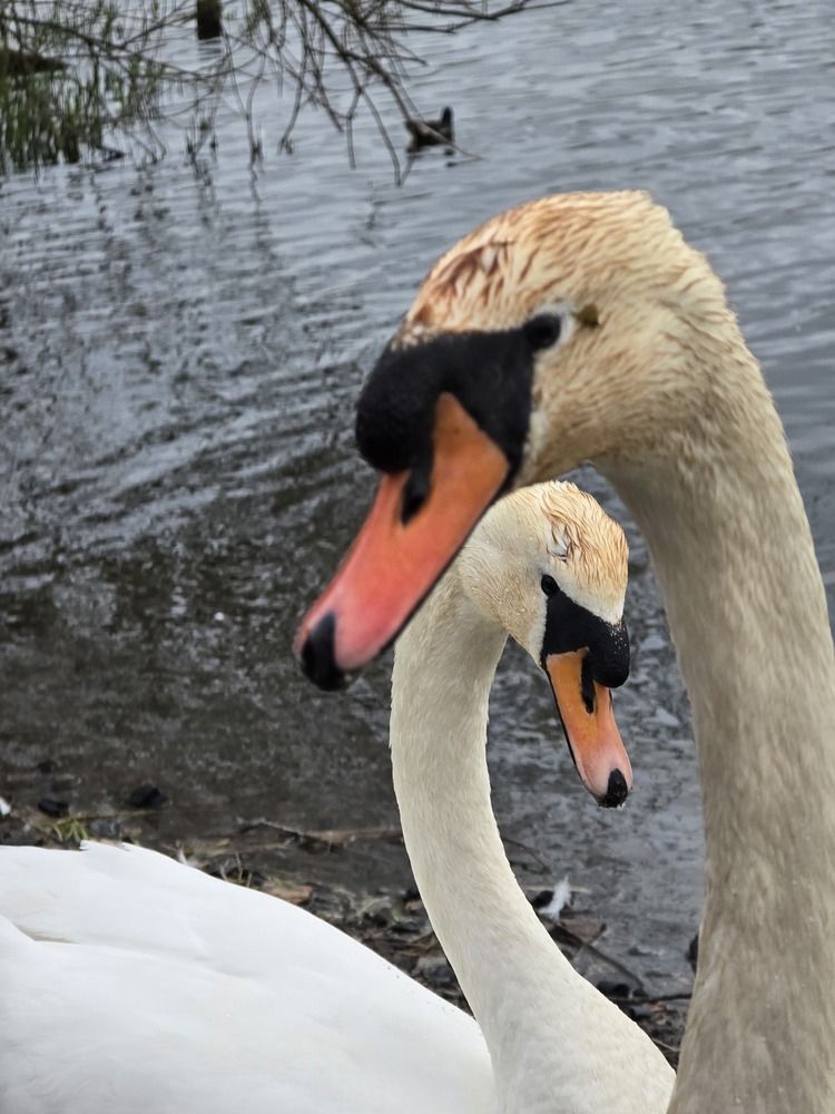 Photograph by Ekaterina Kozlova