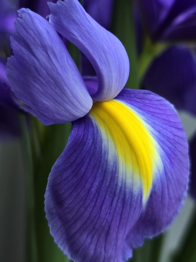 Photograph by Ekaterina Kozlova