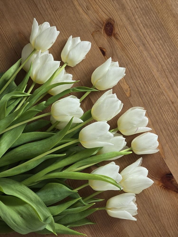 Photograph by Ekaterina Kozlova