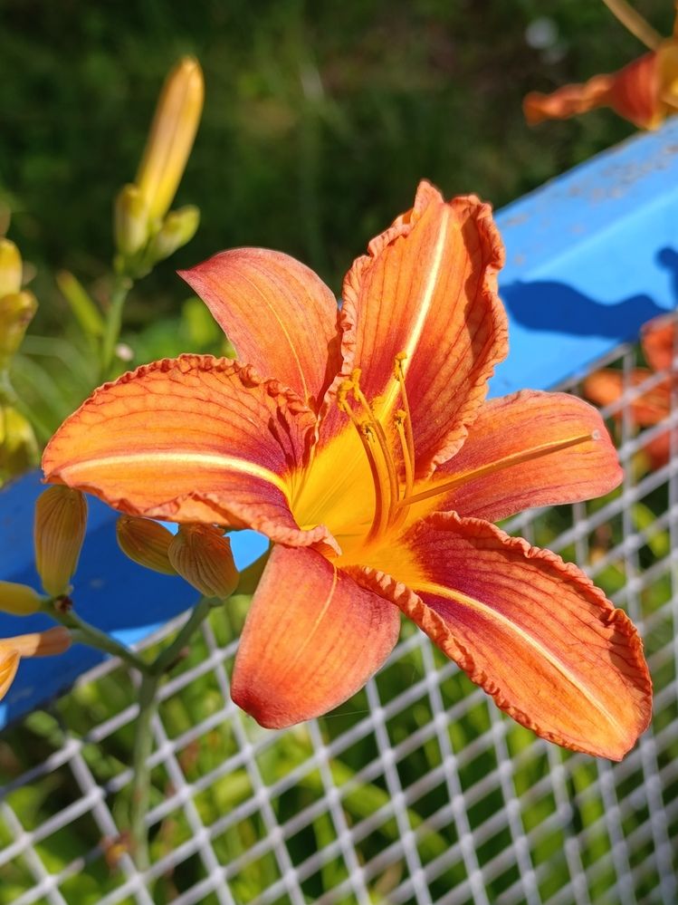 Photograph by Екатерина Супраненок