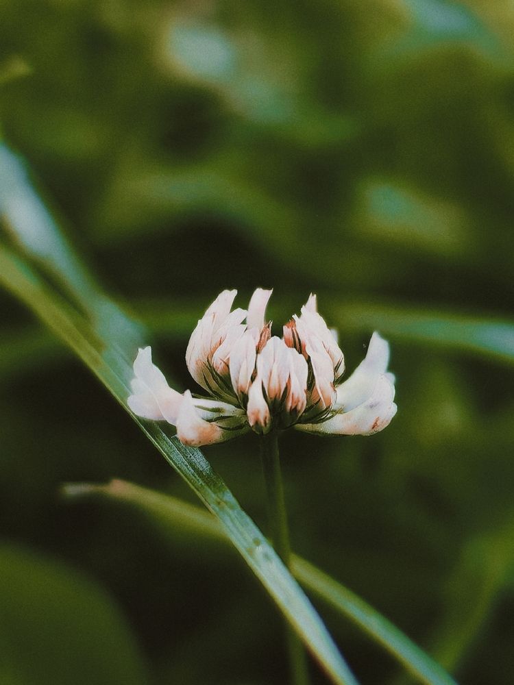 Photograph by Анастасия Доронкина