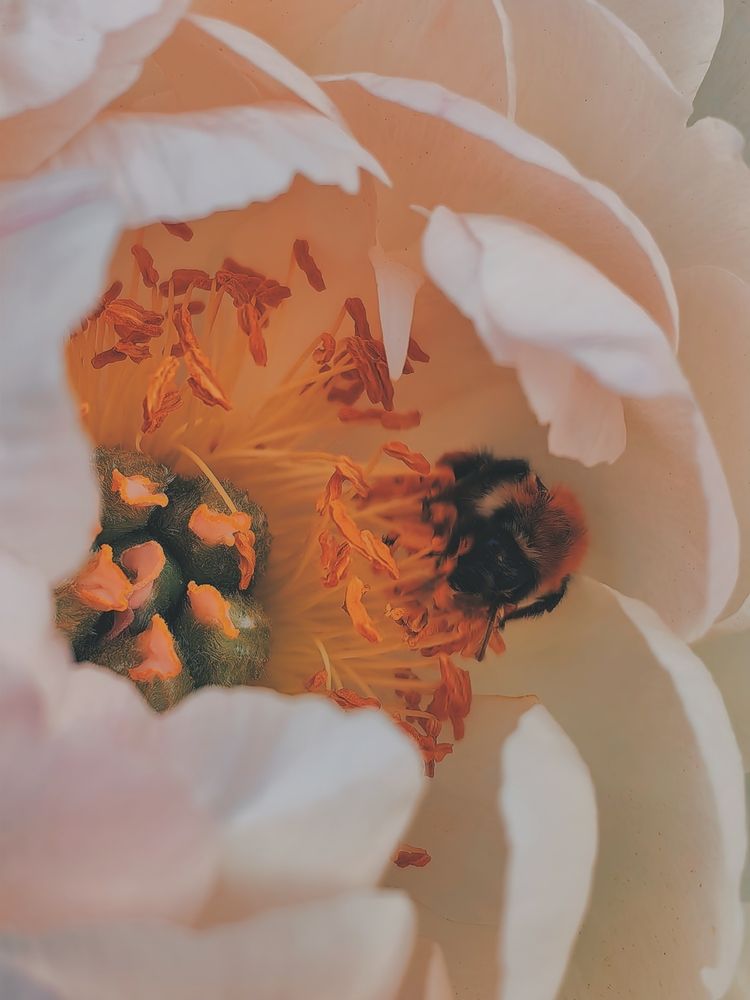 Photograph by Анастасия Доронкина