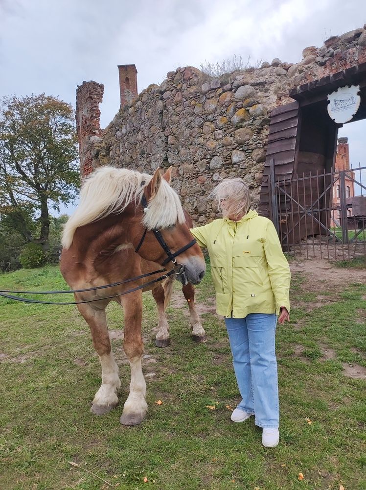 Шикарные гривы