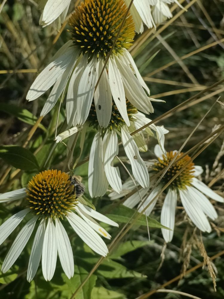 Фотография автора Кристина Киселёва