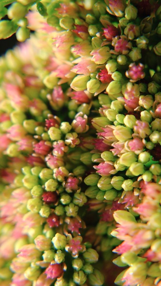 Photograph by Яна Истоцкая