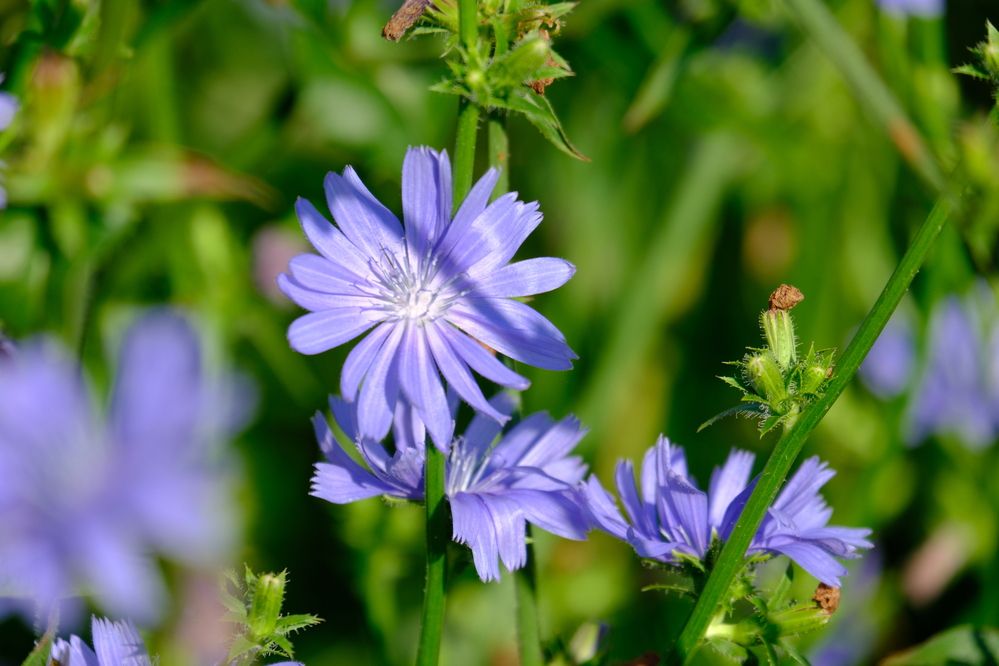 Photograph by Лариса Андреева