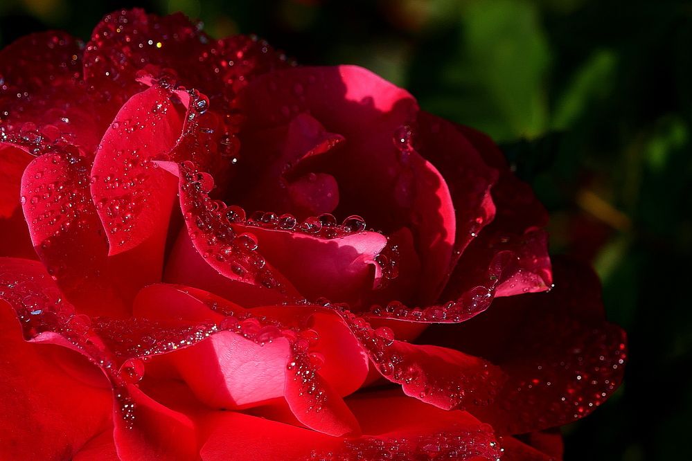 Photograph by Владимир Лобанов