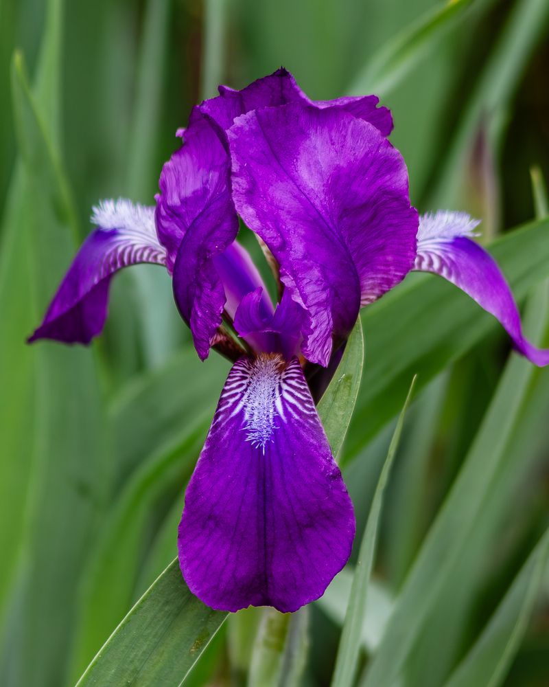 Photograph by Grigoriy