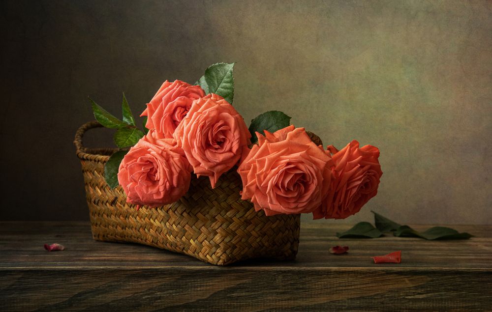 Розовые розы