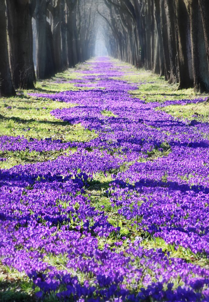 Photograph by Gabriella Szabo