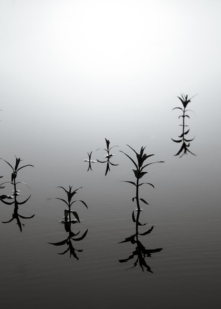 Photograph by Марина Халатова