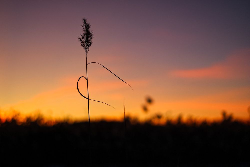 Photograph by Марина Халатова