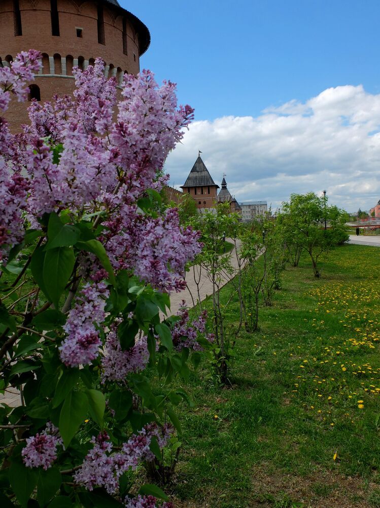 Photograph by Ираида Стародубцева