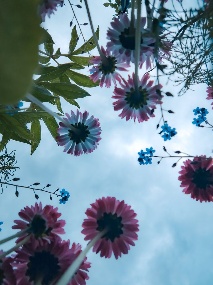 Photograph by Екатерина Никитина