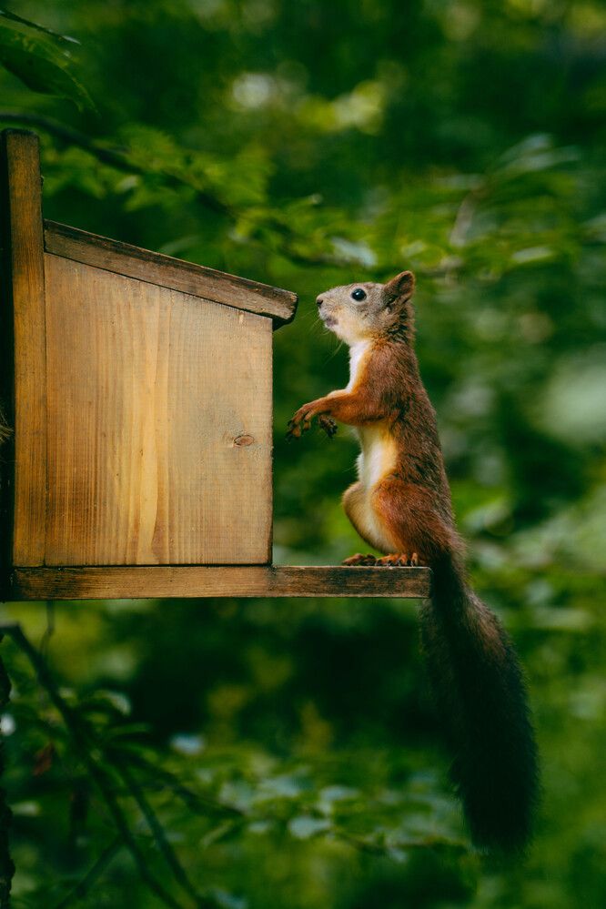 Photograph by Ekaterina Barashkova