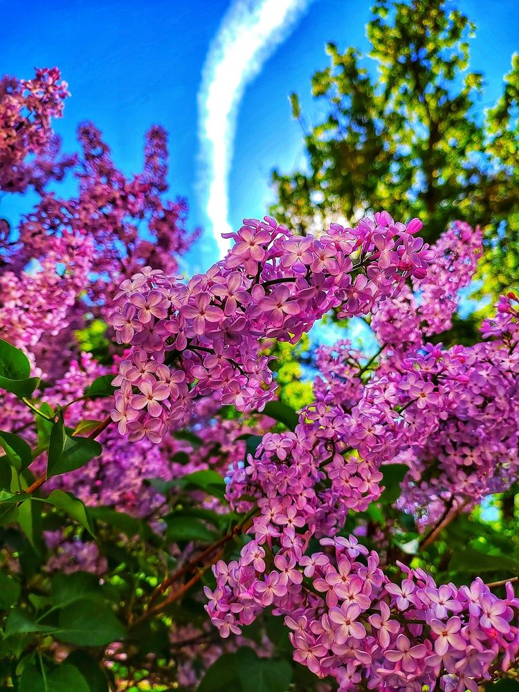 Photograph by Дарья Крапчетова