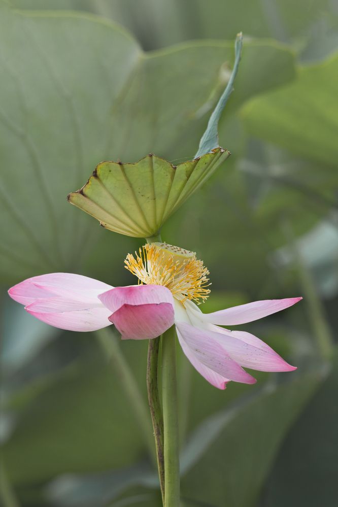 Фотография автора Гарус Виктория