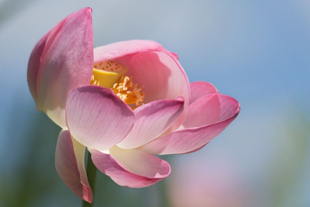 Photograph by Гарус Виктория