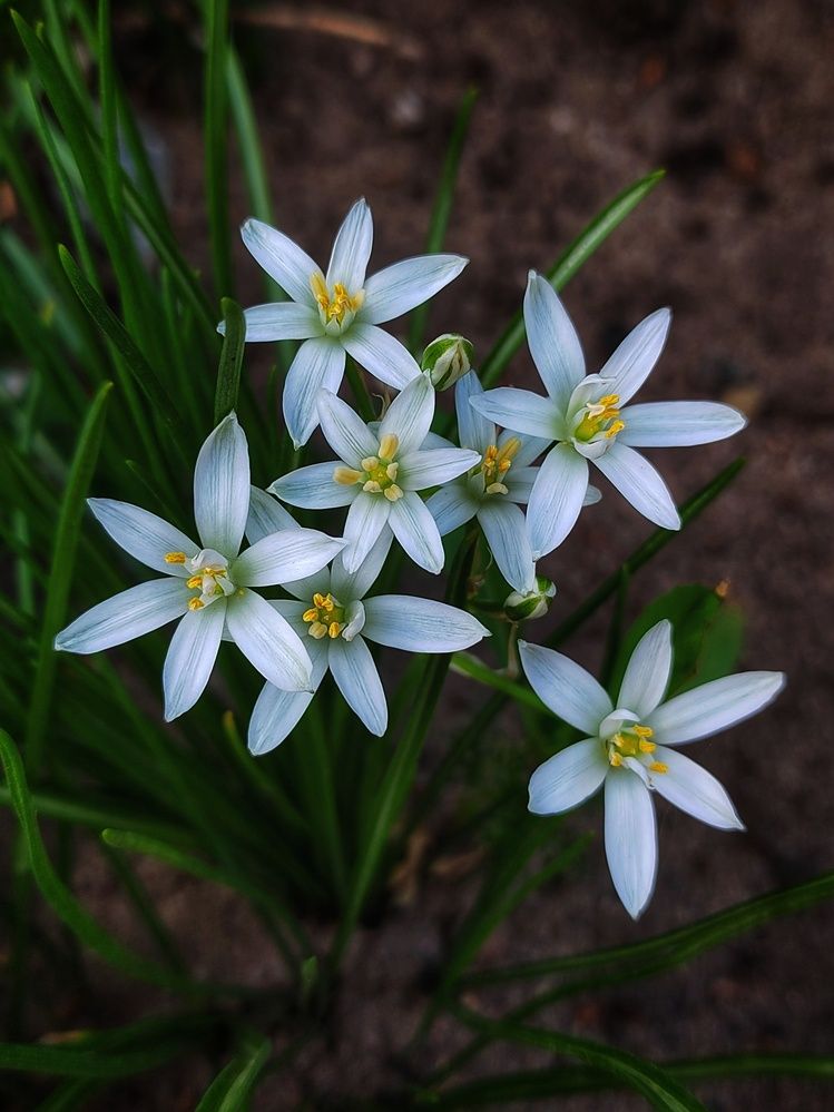 Photograph by Дарья Крапчетова