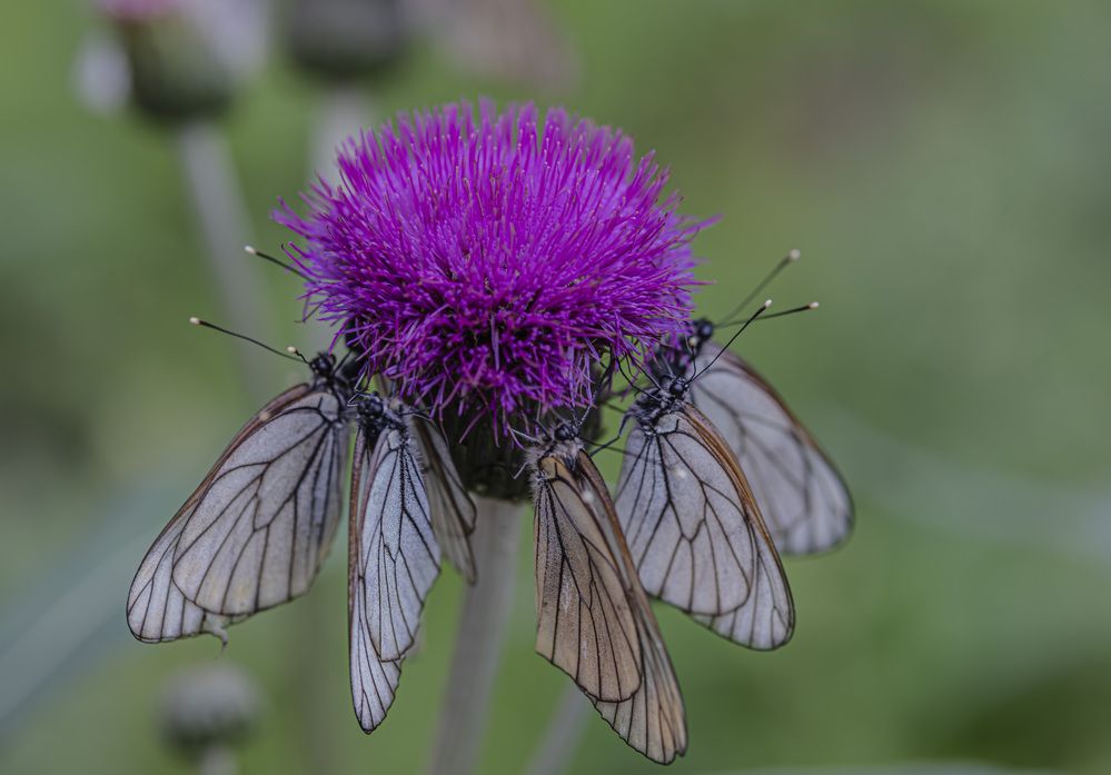 Photograph by Виктор Саврей