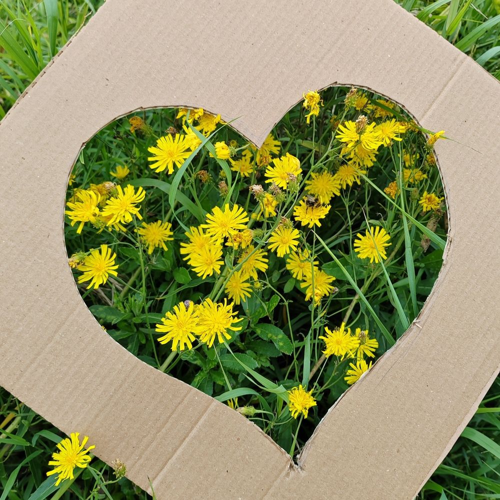 Фотография автора Татьяна Егорова