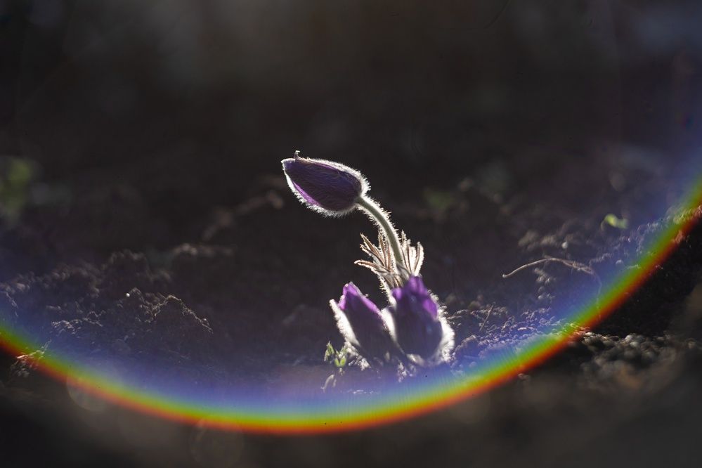 Photograph by Щербак Анатолий